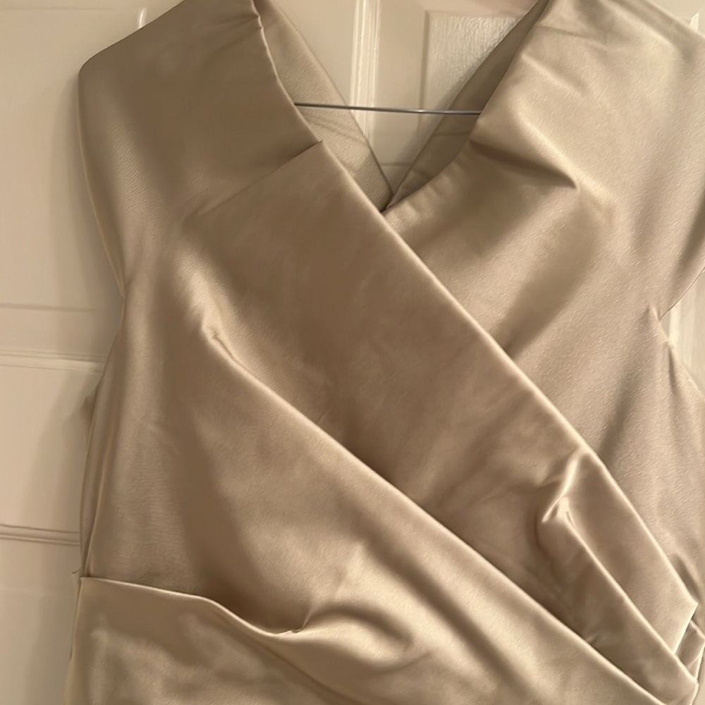 Teri Jon Satin Cream long formal dress - Picture 2 of 4